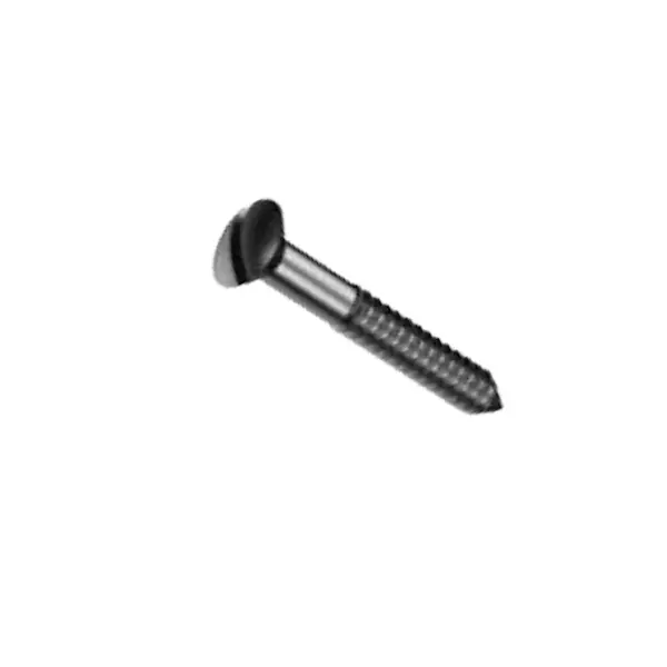 wood screw (1)